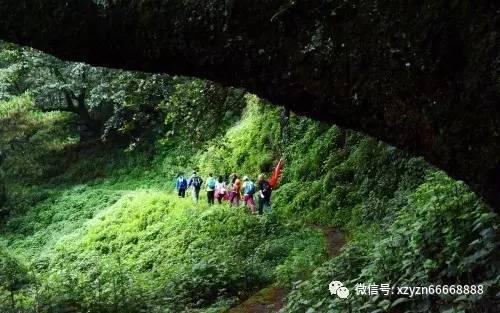 镇魔曲页游